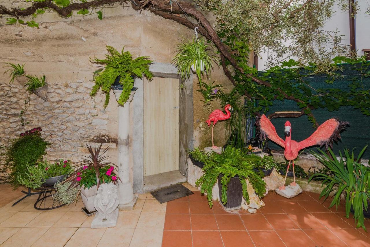 Naomi Apartment Zadar Bagian luar foto